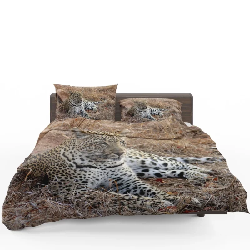 Leopard Relaxation African Haven Bedding Set