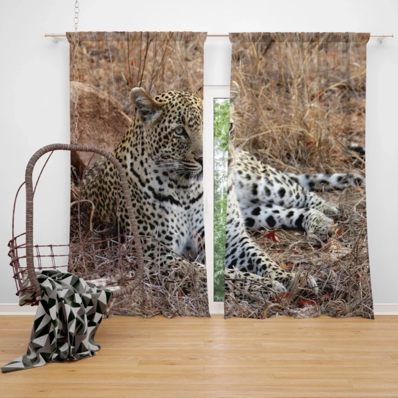 Leopard Relaxation African Haven Curtain