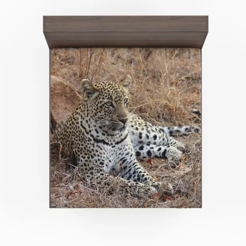 Leopard Relaxation African Haven Fitted Sheet 1