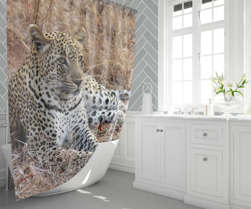 Leopard Relaxation African Haven Shower Curtain 1