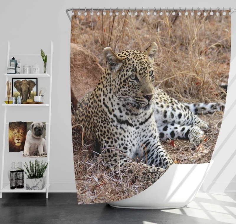 Leopard Relaxation African Haven Shower Curtain