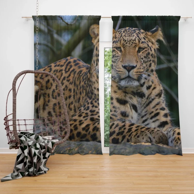 Leopard Stealthy Curtain