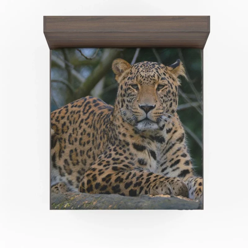 Leopard Stealthy Fitted Sheet 1