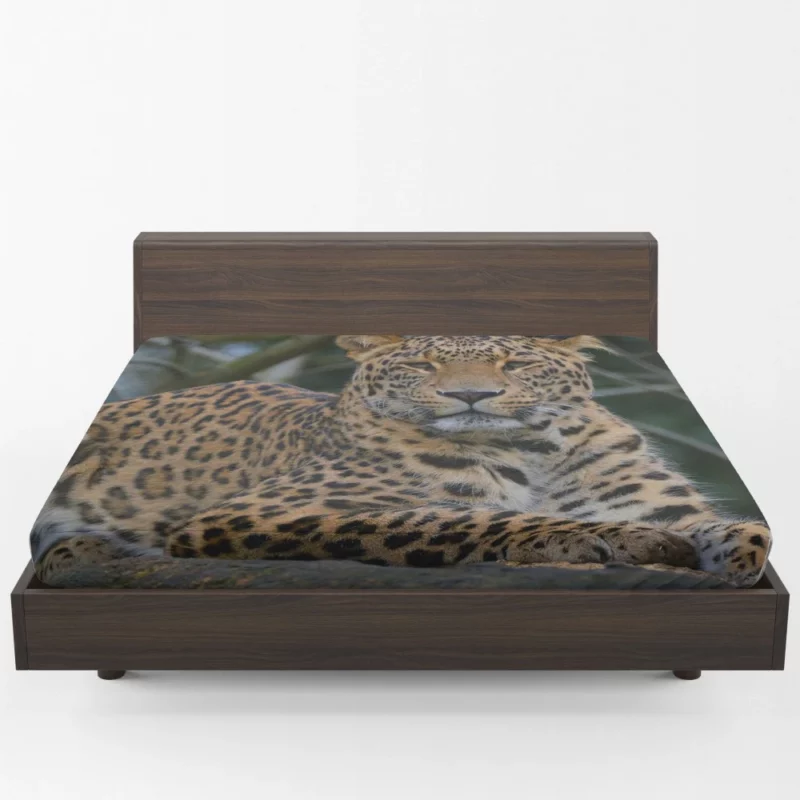 Leopard Stealthy Fitted Sheet