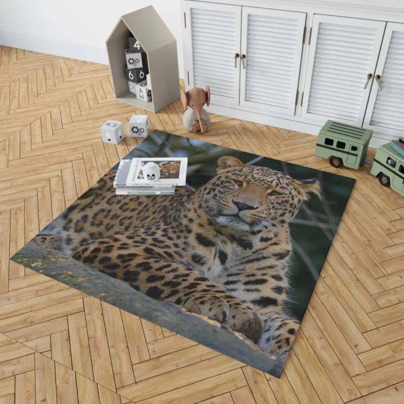 Leopard Stealthy Rug 1