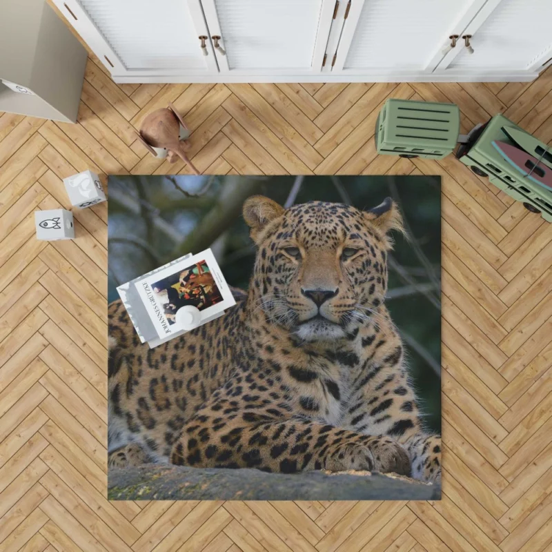 Leopard Stealthy Rug