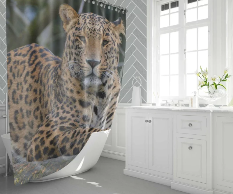 Leopard Stealthy Shower Curtain 1