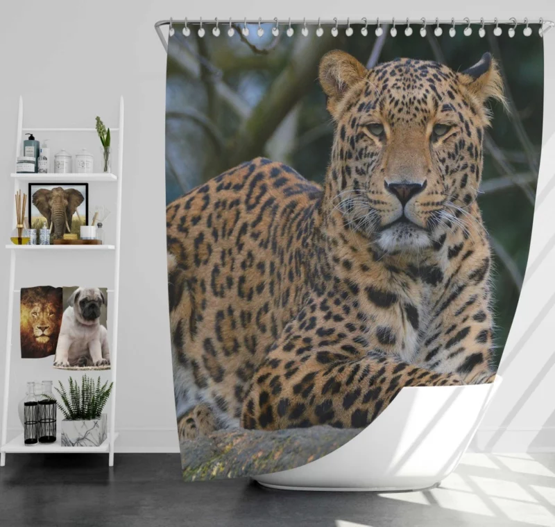 Leopard Stealthy Shower Curtain