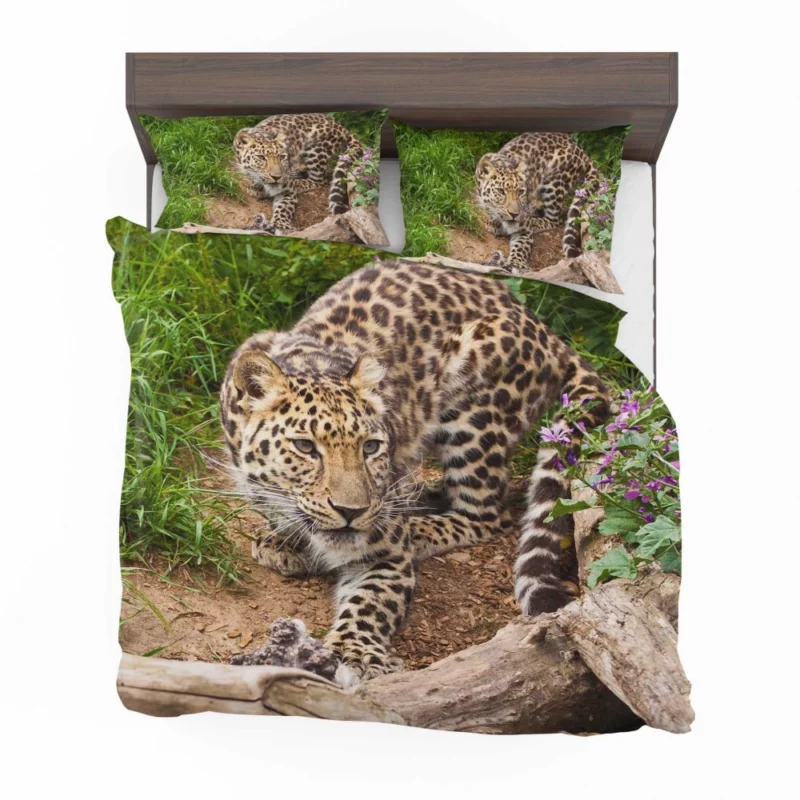 Leopard Stealthy Stalk Nature Artistry Bedding Set 1