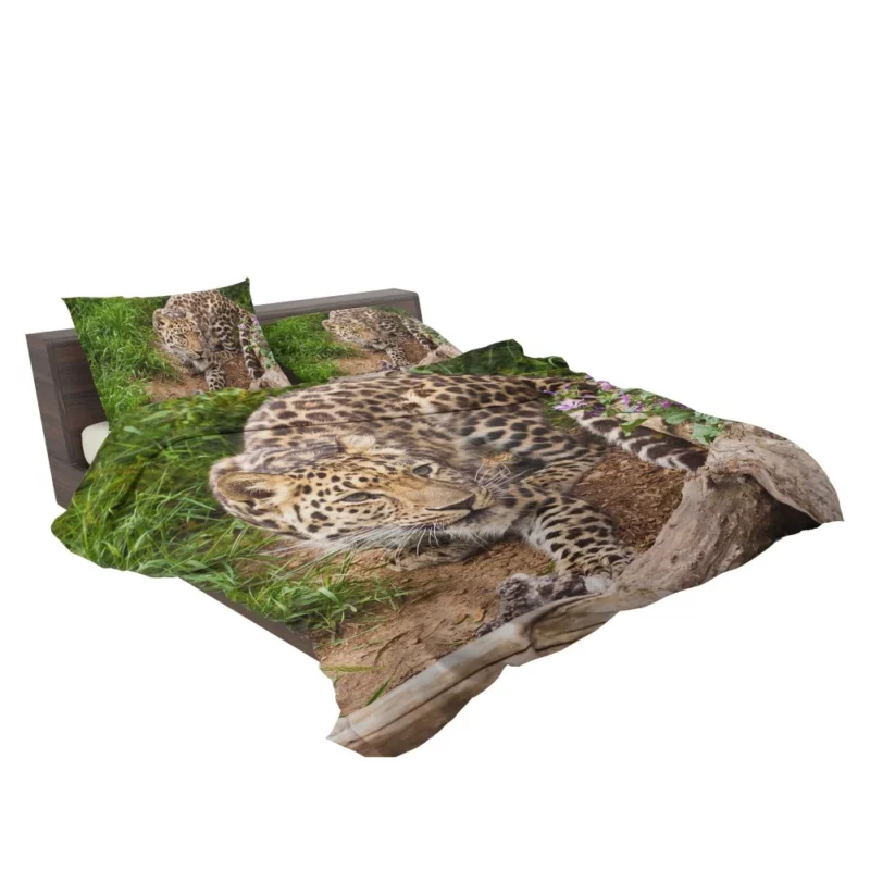 Leopard Stealthy Stalk Nature Artistry Bedding Set 2