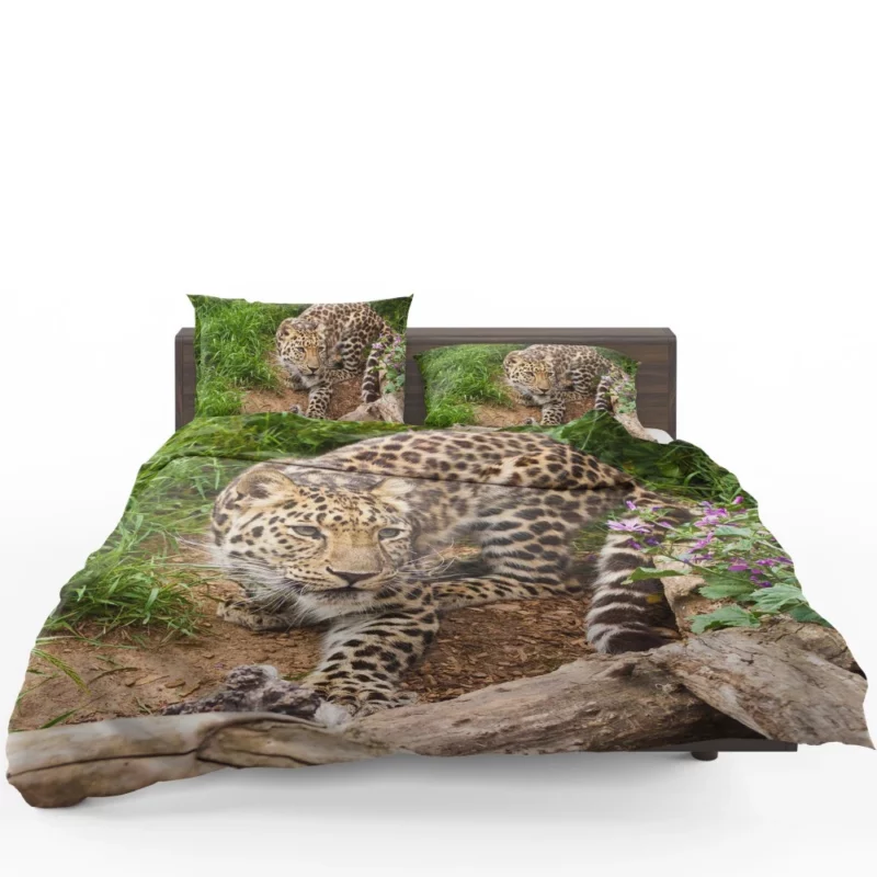 Leopard Stealthy Stalk Nature Artistry Bedding Set