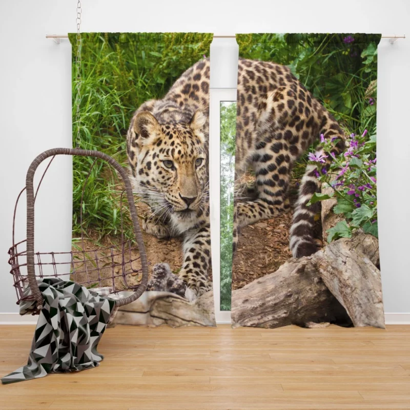 Leopard Stealthy Stalk Nature Artistry Curtain