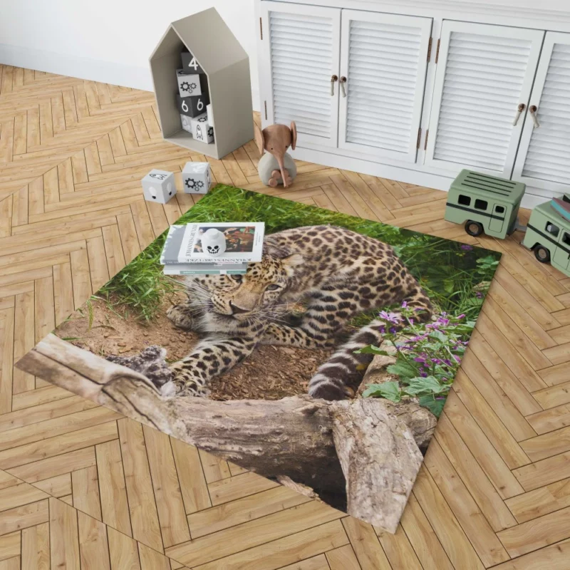 Leopard Stealthy Stalk Nature Artistry Rug 1