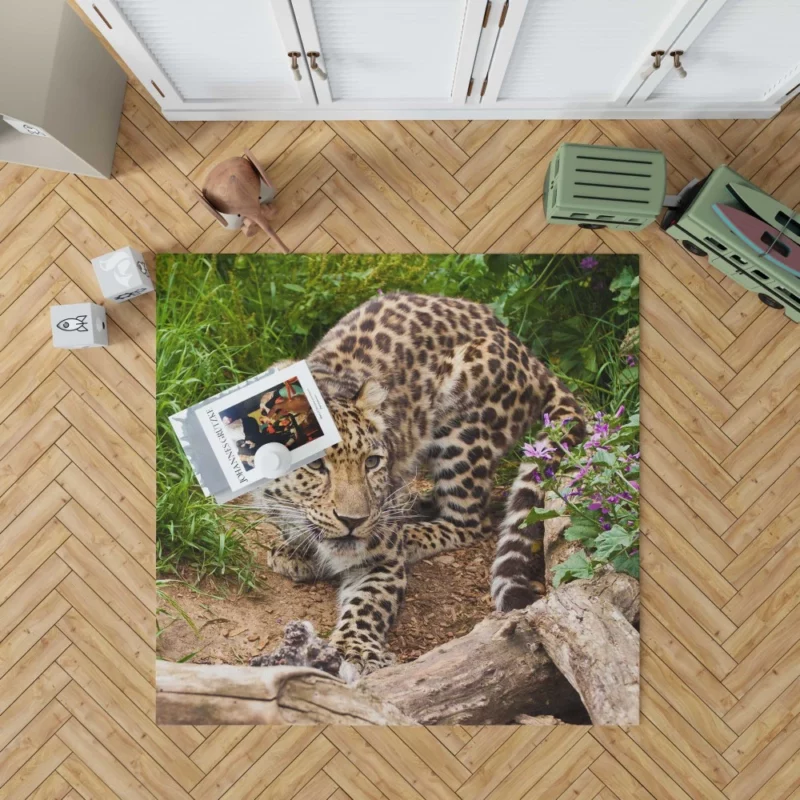 Leopard Stealthy Stalk Nature Artistry Rug