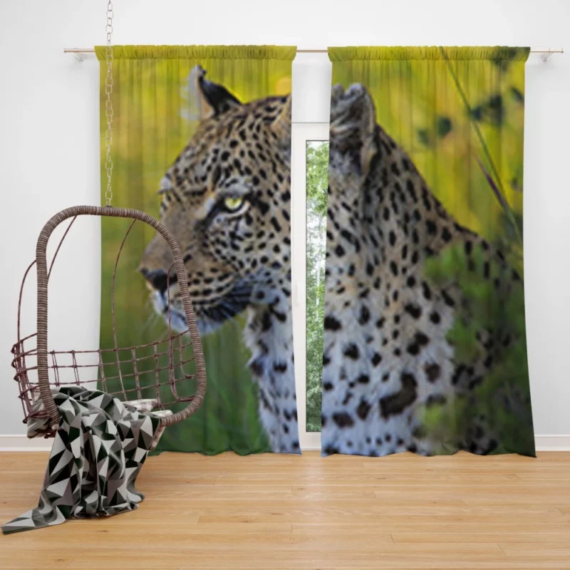 Leopard Stealthy Stance Wild Elegance Curtain