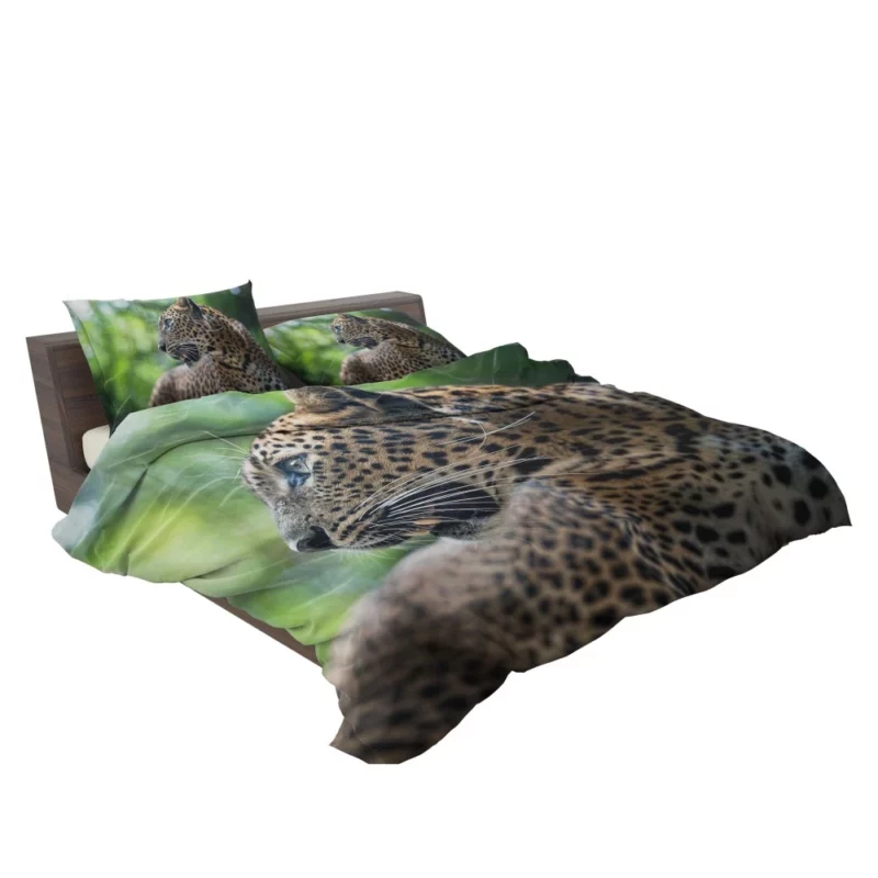 Leopard Stealthy Wilderness Exotic Bedding Set 2