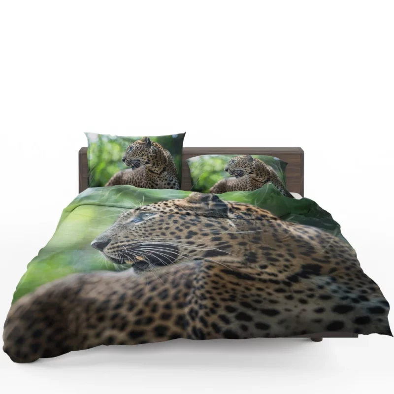 Leopard Stealthy Wilderness Exotic Bedding Set