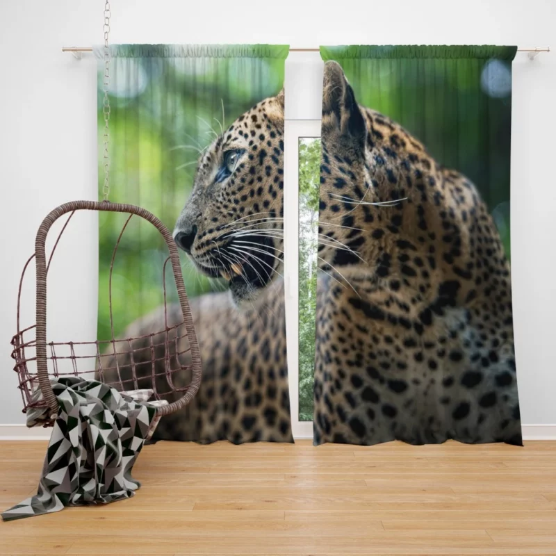 Leopard Stealthy Wilderness Exotic Curtain