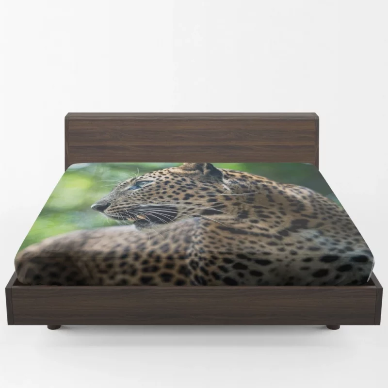 Leopard Stealthy Wilderness Exotic Fitted Sheet