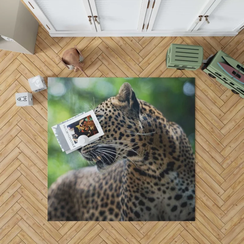 Leopard Stealthy Wilderness Exotic Rug