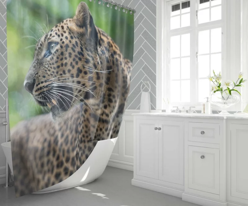 Leopard Stealthy Wilderness Exotic Shower Curtain 1