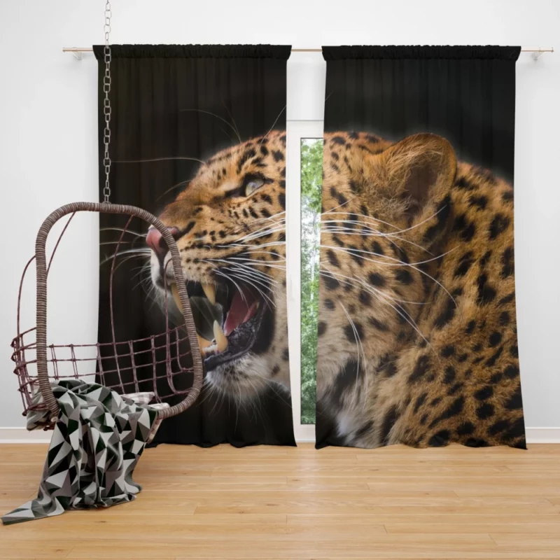 Leopard Stealthy Wilderness Stalk Curtain