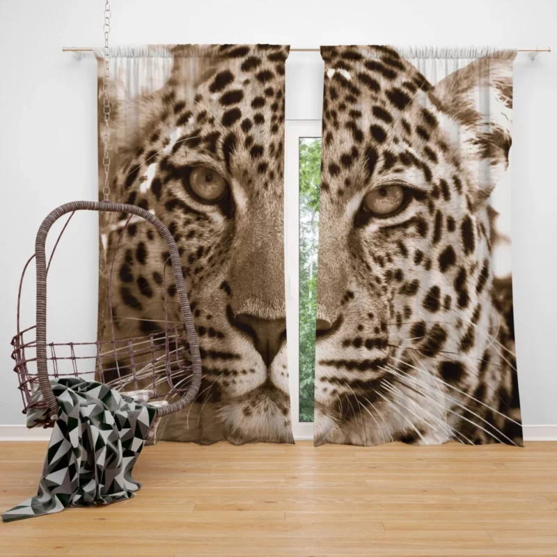 Leopard The Wild Elegance of South Africa Curtain