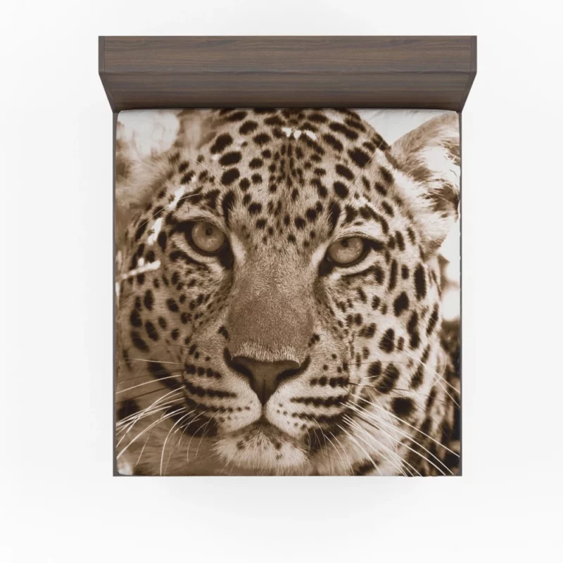 Leopard The Wild Elegance of South Africa Fitted Sheet 1