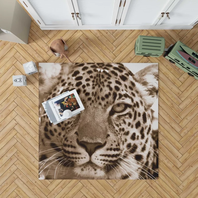 Leopard The Wild Elegance of South Africa Rug