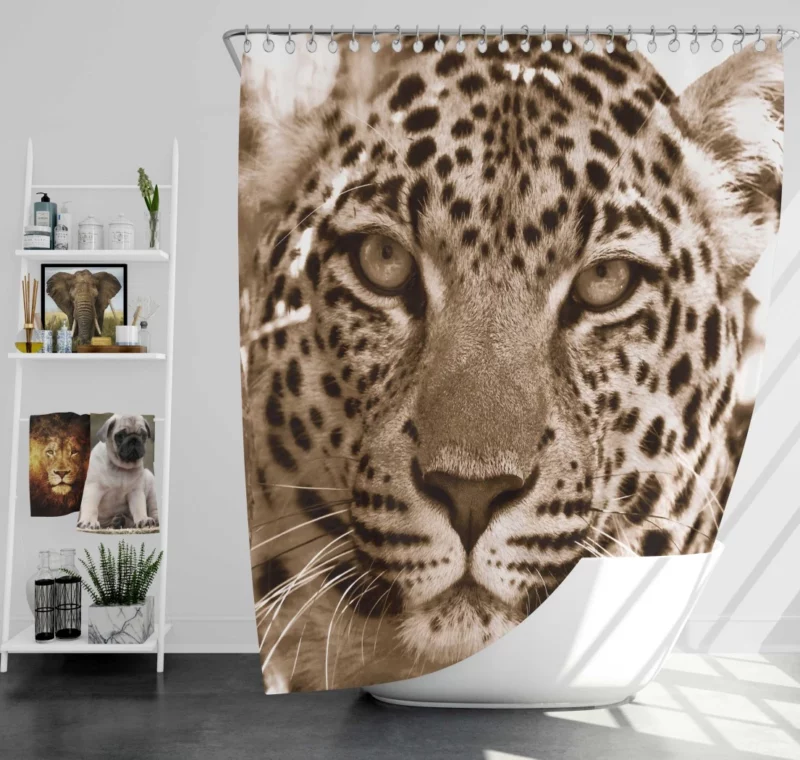 Leopard The Wild Elegance of South Africa Shower Curtain