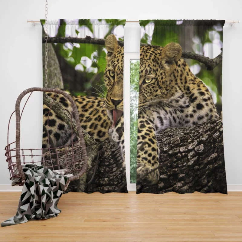 Leopard Untamed Curtain