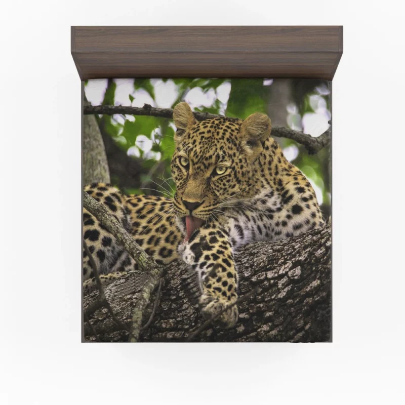 Leopard Untamed Fitted Sheet 1