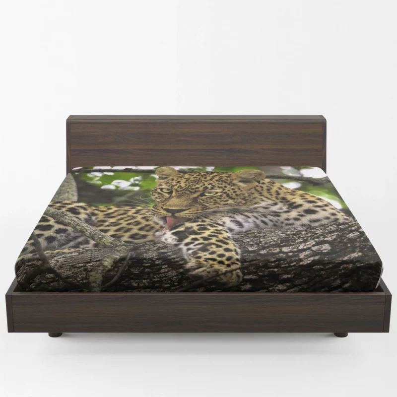 Leopard Untamed Fitted Sheet