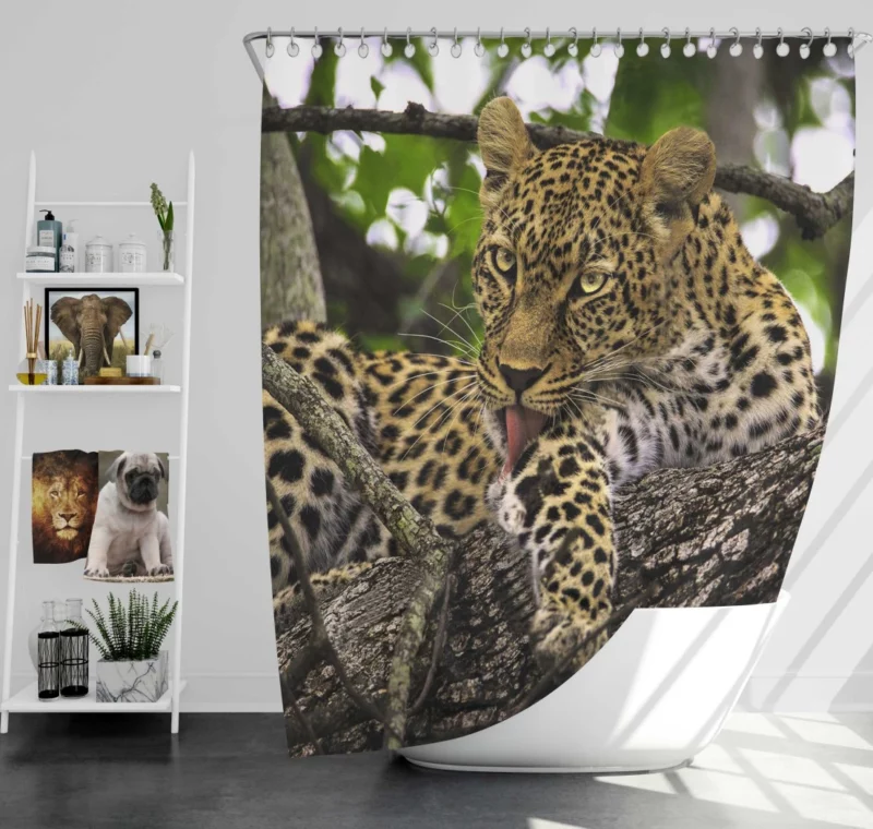 Leopard Untamed Shower Curtain