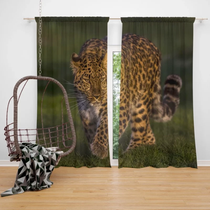 Leopard Untamed Stance Artistic Wilderness Curtain