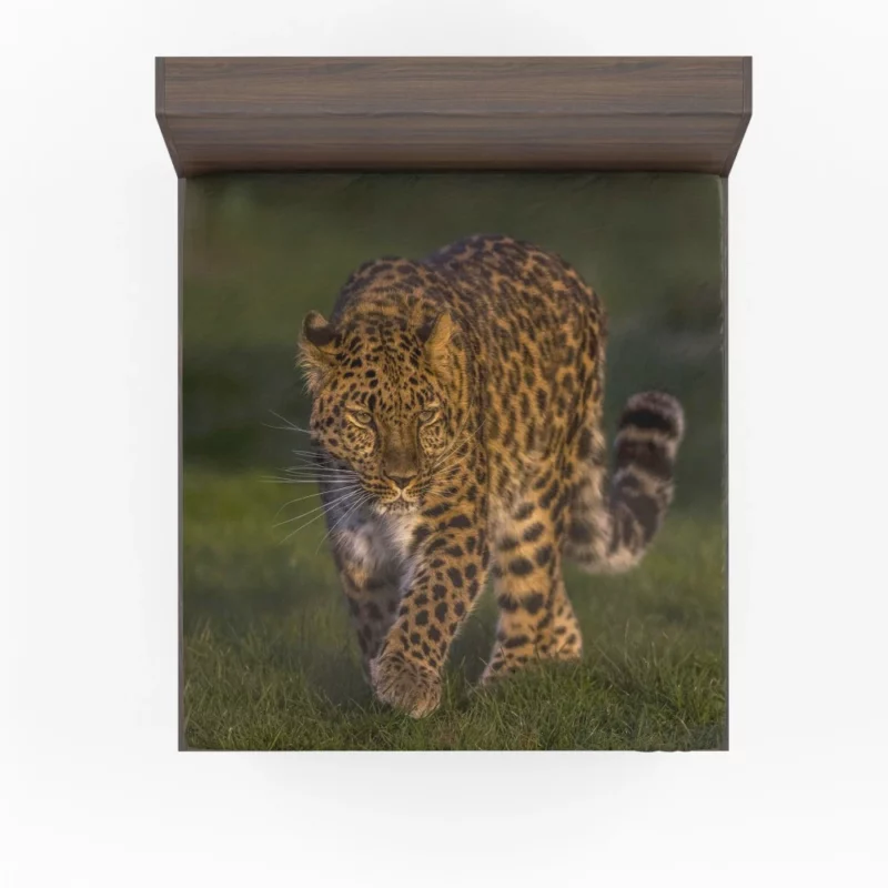 Leopard Untamed Stance Artistic Wilderness Fitted Sheet 1