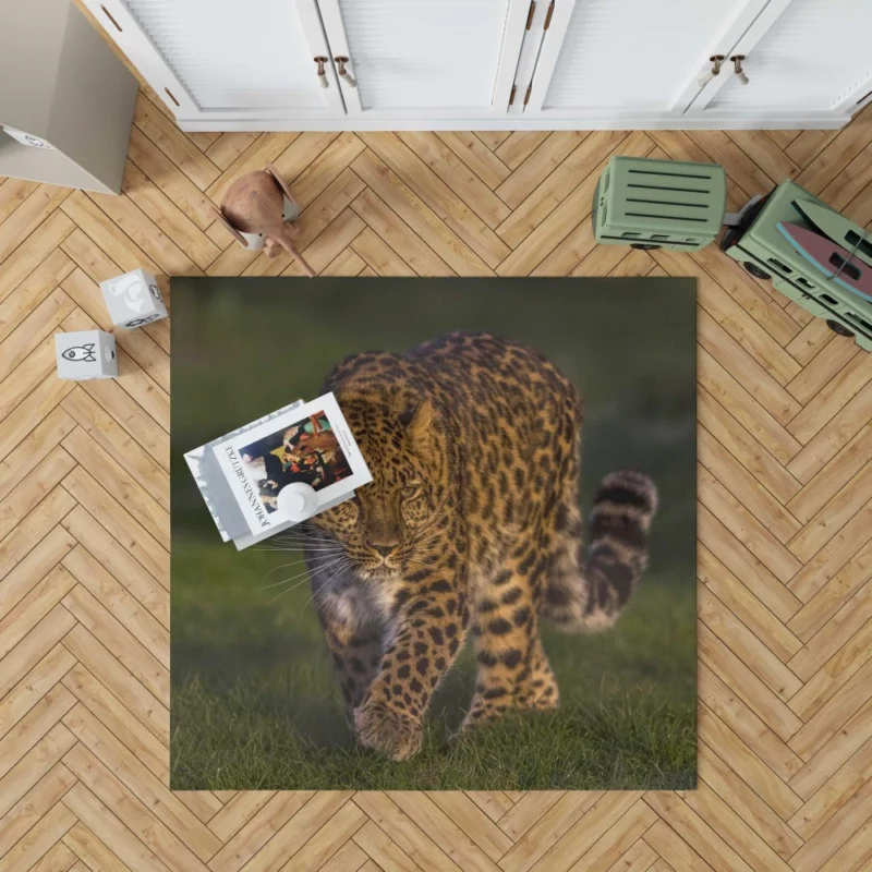 Leopard Untamed Stance Artistic Wilderness Rug