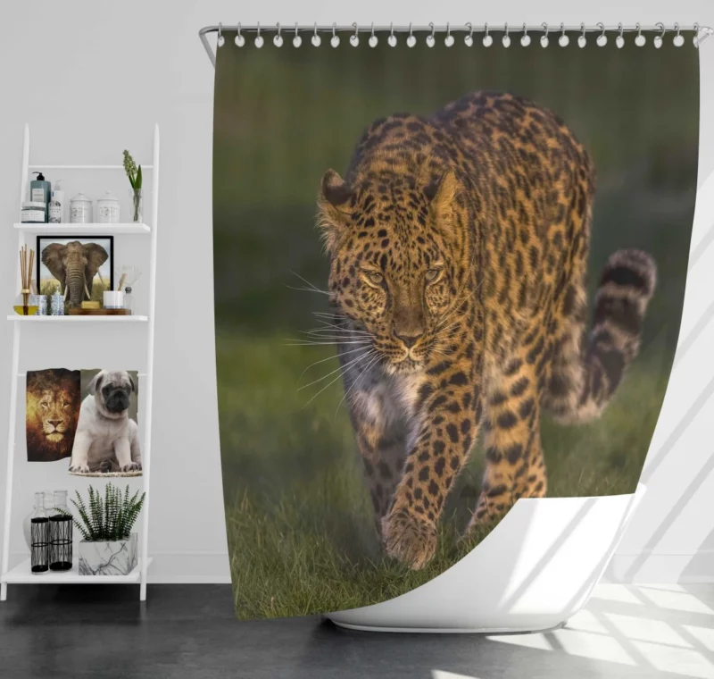 Leopard Untamed Stance Artistic Wilderness Shower Curtain