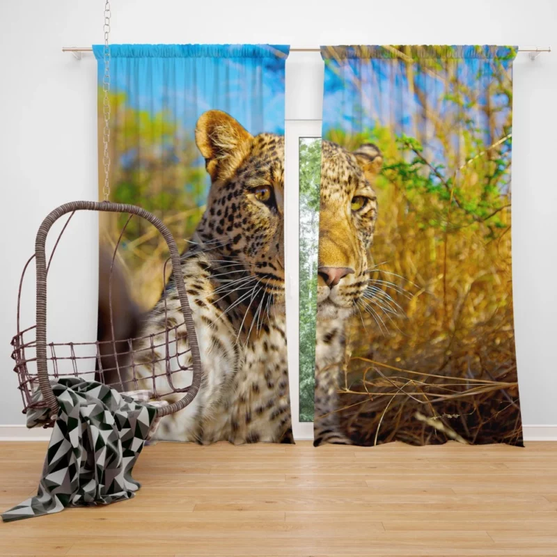 Leopard Urban Selfie City Stroll Curtain