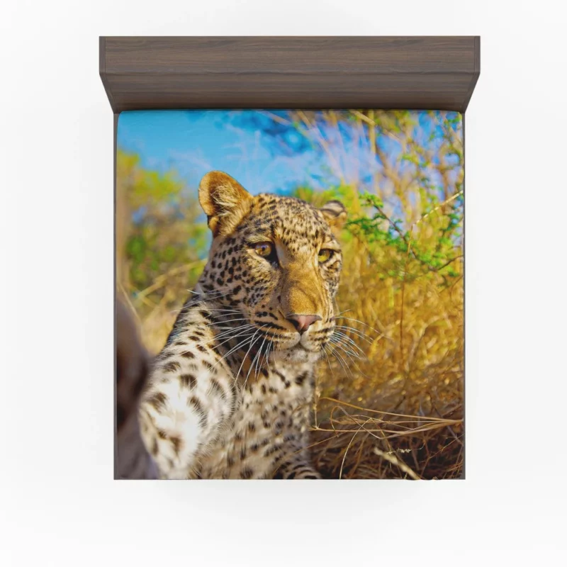 Leopard Urban Selfie City Stroll Fitted Sheet 1