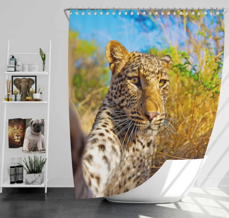 Leopard Urban Selfie City Stroll Shower Curtain