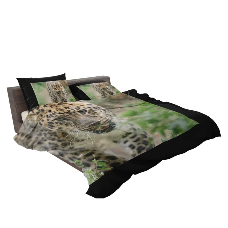 Leopard Vibrant Bedding Set 2