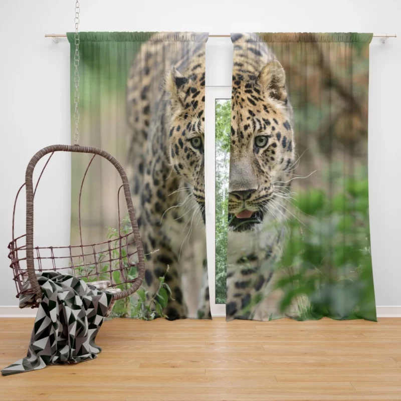 Leopard Vibrant Curtain