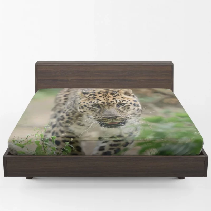 Leopard Vibrant Fitted Sheet