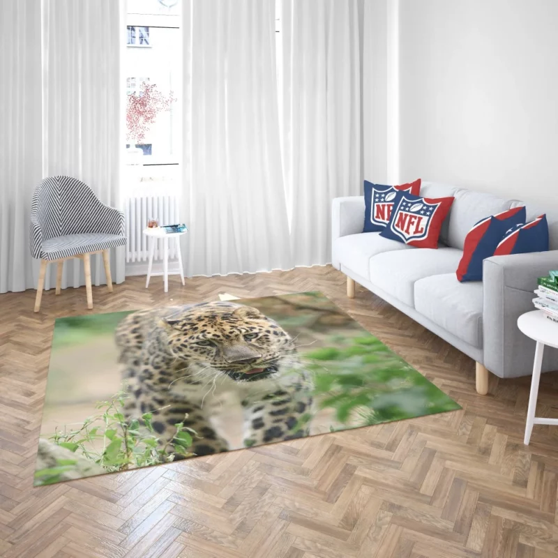 Leopard Vibrant Rug 2