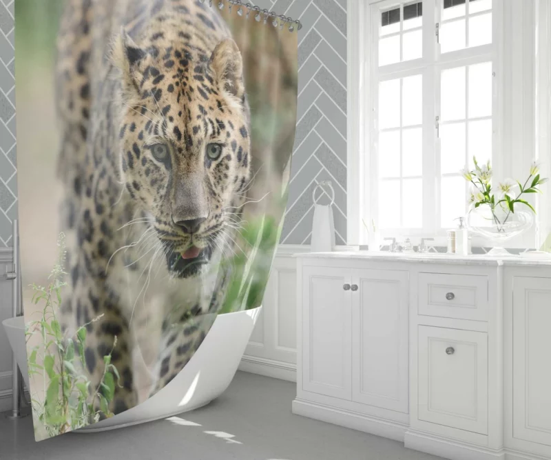 Leopard Vibrant Shower Curtain 1