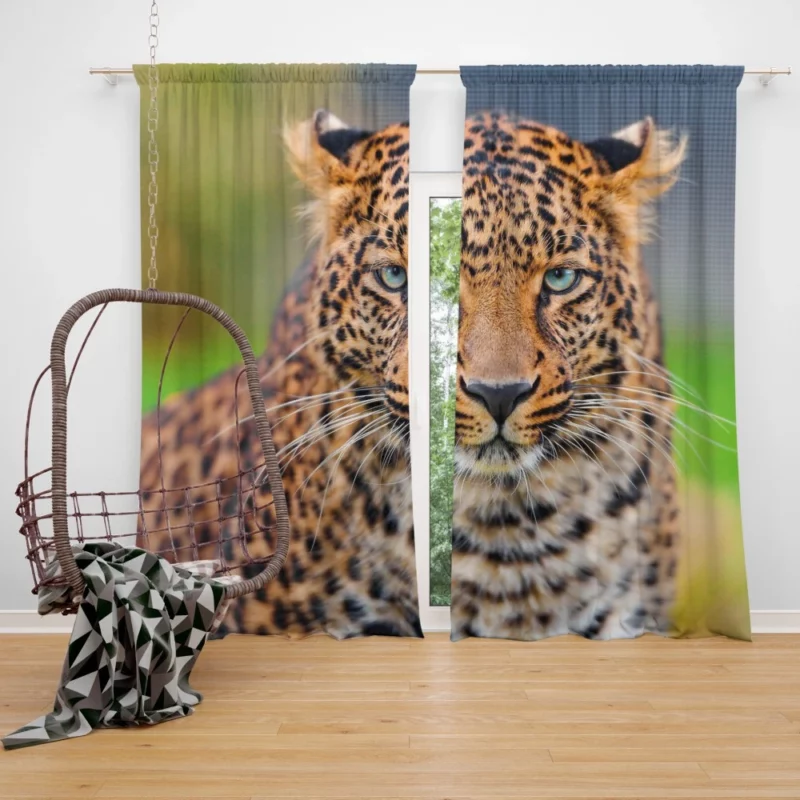 Leopard Wild Animal Curtain