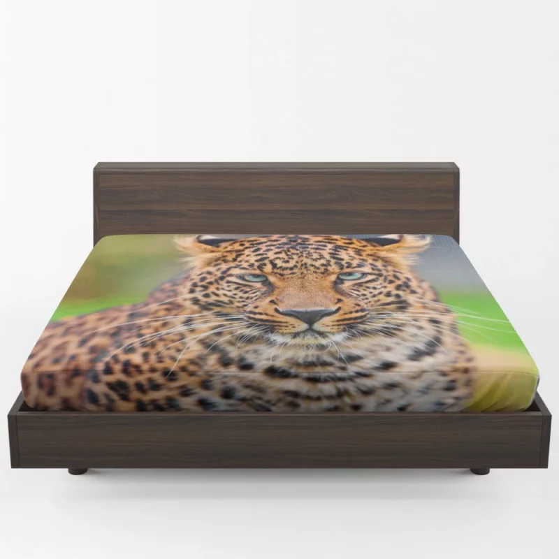 Leopard Wild Animal Fitted Sheet