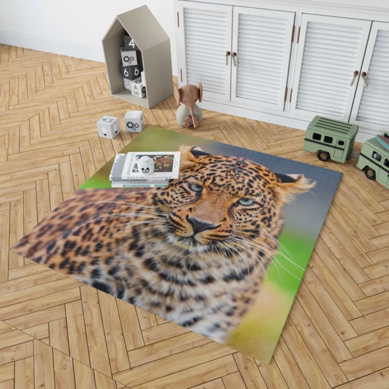 Leopard Wild Animal Rug 1