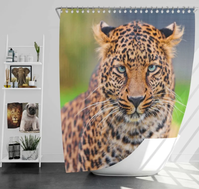 Leopard Wild Animal Shower Curtain